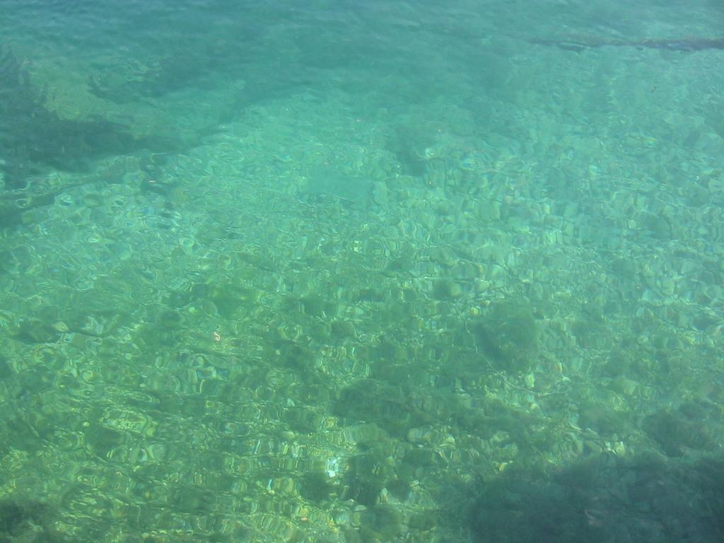 Waterfront Ivan * Podgora